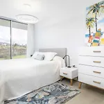 Theedgebythesea Dolphin