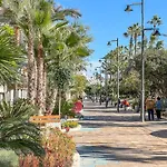 Hanami Avenida De Espana