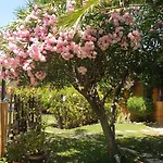 Family Hotel Al- Ana Marbella