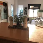 Estepona El Paraiso