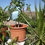Casa Simba
