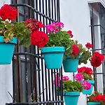 Apartamentos Miguel Angel