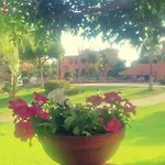 Hacienda Del Sol Deluxe Beachside