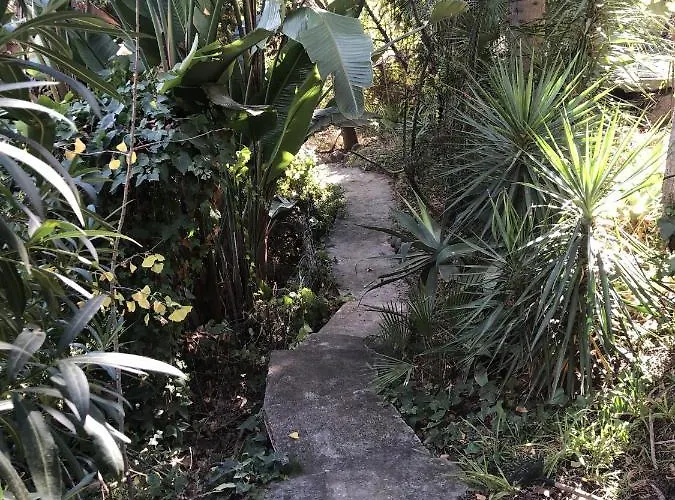 Casa Simba B&B (Adults Only)