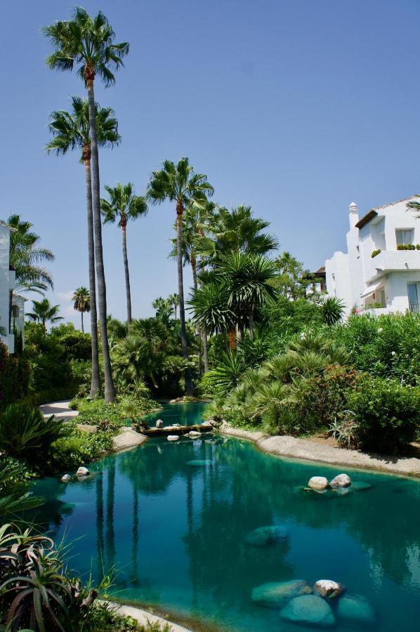 Exceptional Beachfront Complex With Pool In Costalita, Apartment