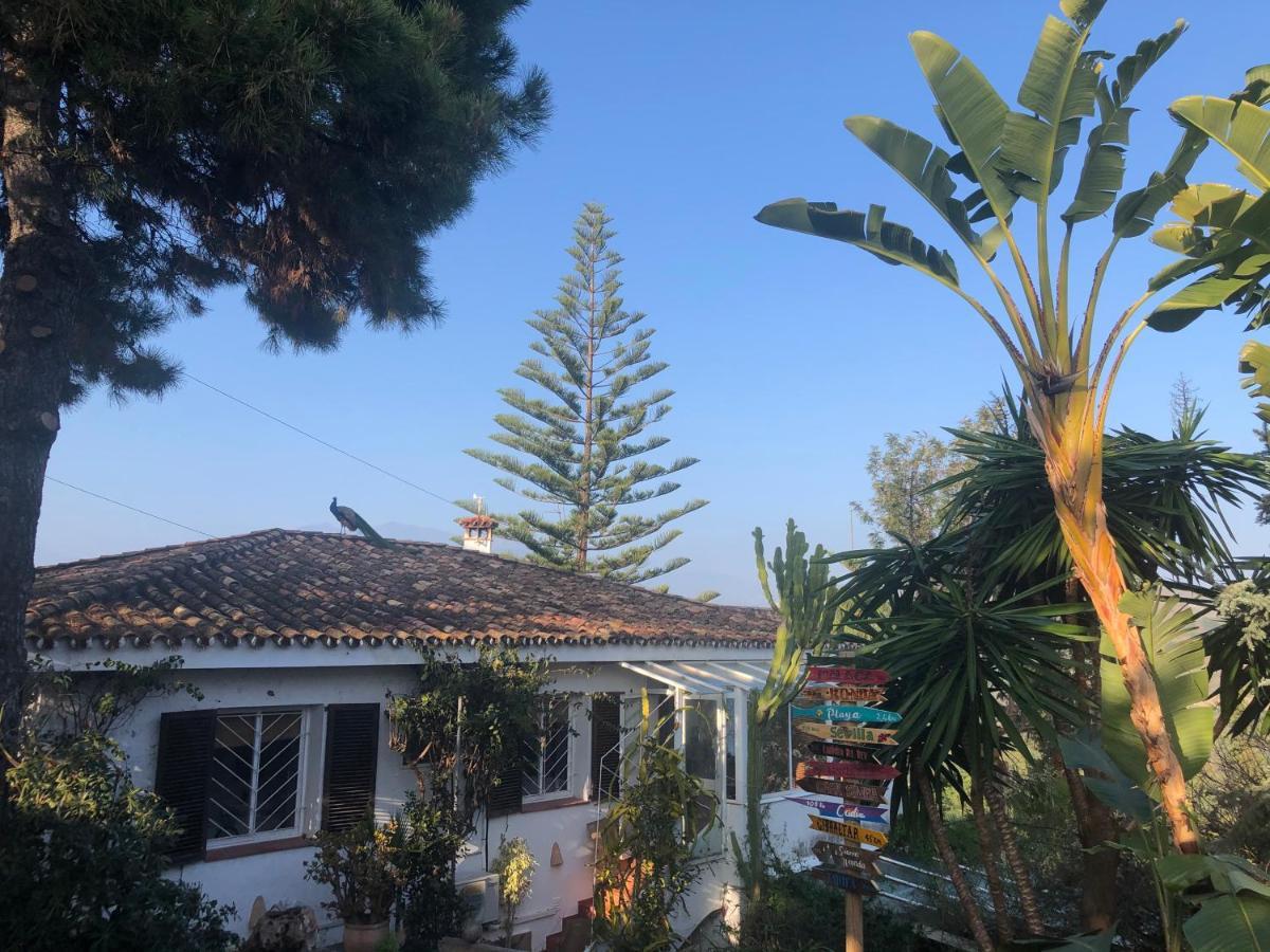 Gasthuis Casa Simba (adults Only) Estepona