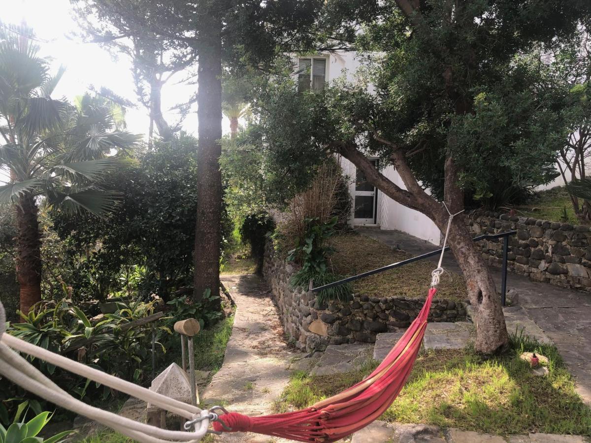 Casa Simba (adults Only) *