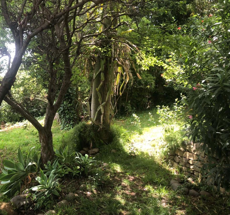 Casa Simba (adults Only) *
