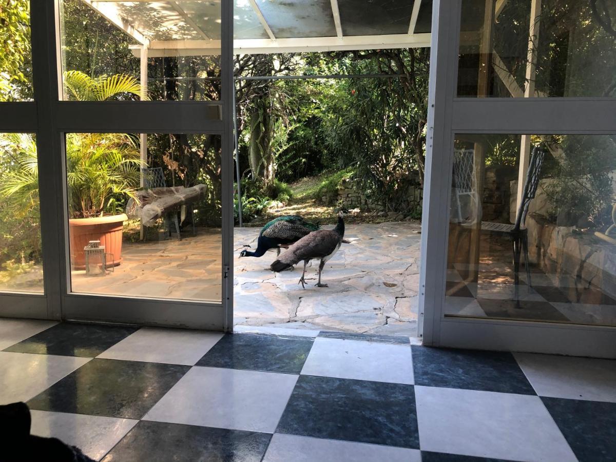 Casa Simba (adults Only) Gasthuis