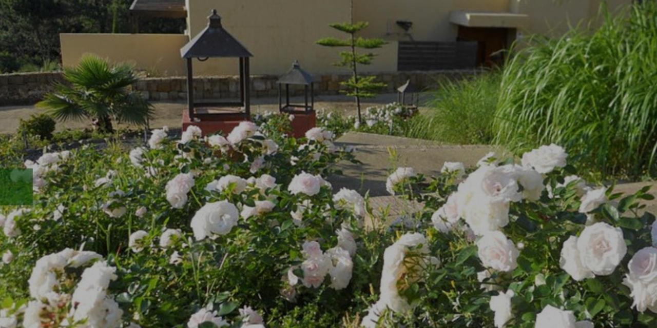 Parque Botanico & Country Club