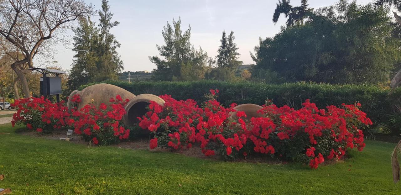 Parque Botanico & Country Club
