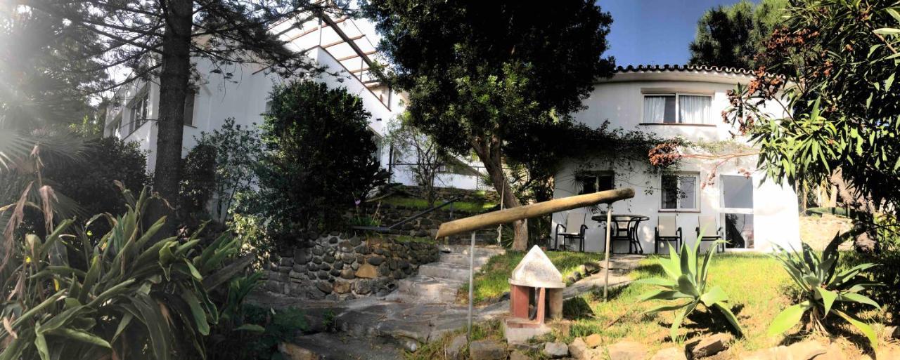 Gasthuis Casa Simba (adults Only)