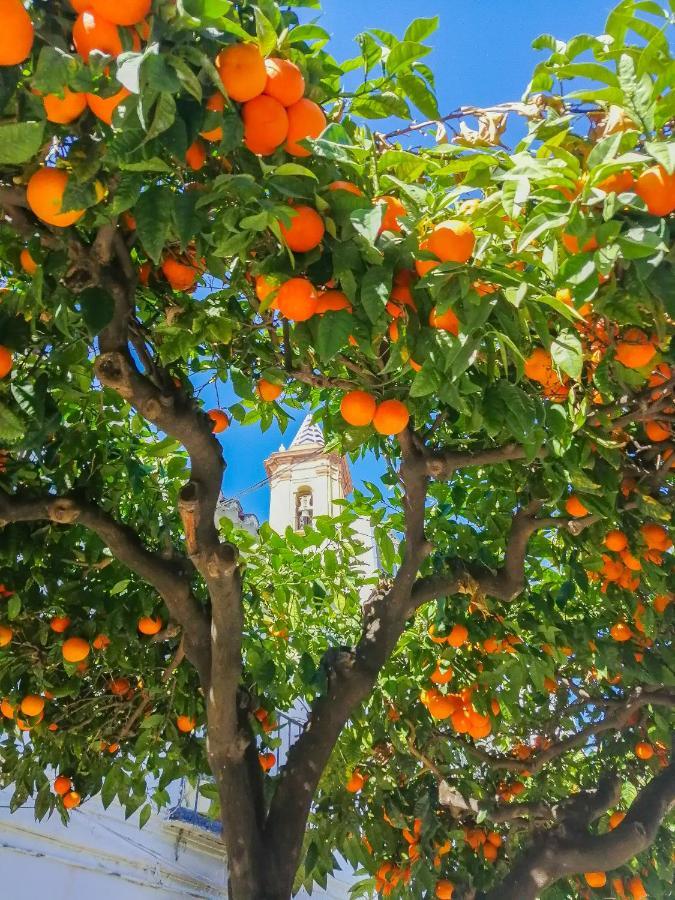 Escape To Apartment Estepona