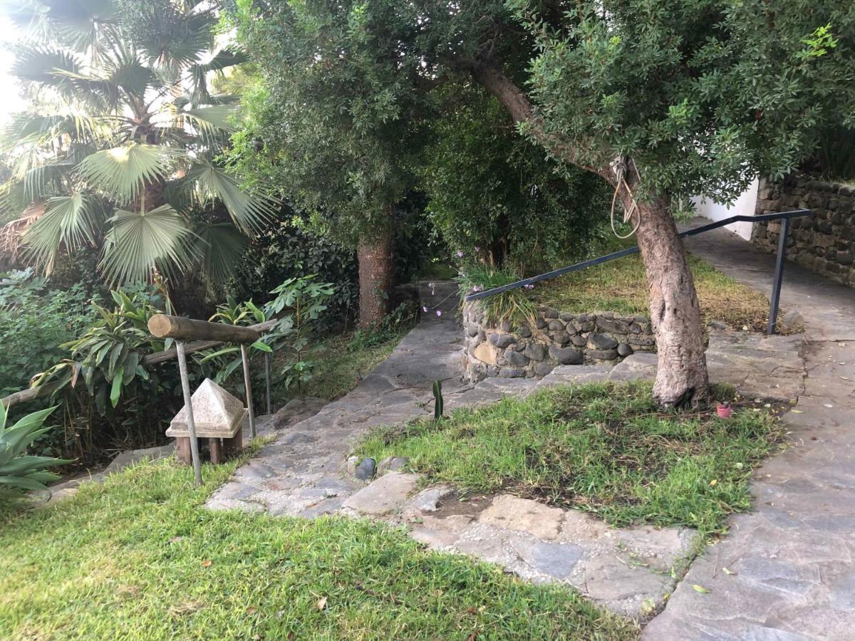 Casa Simba (adults Only) *