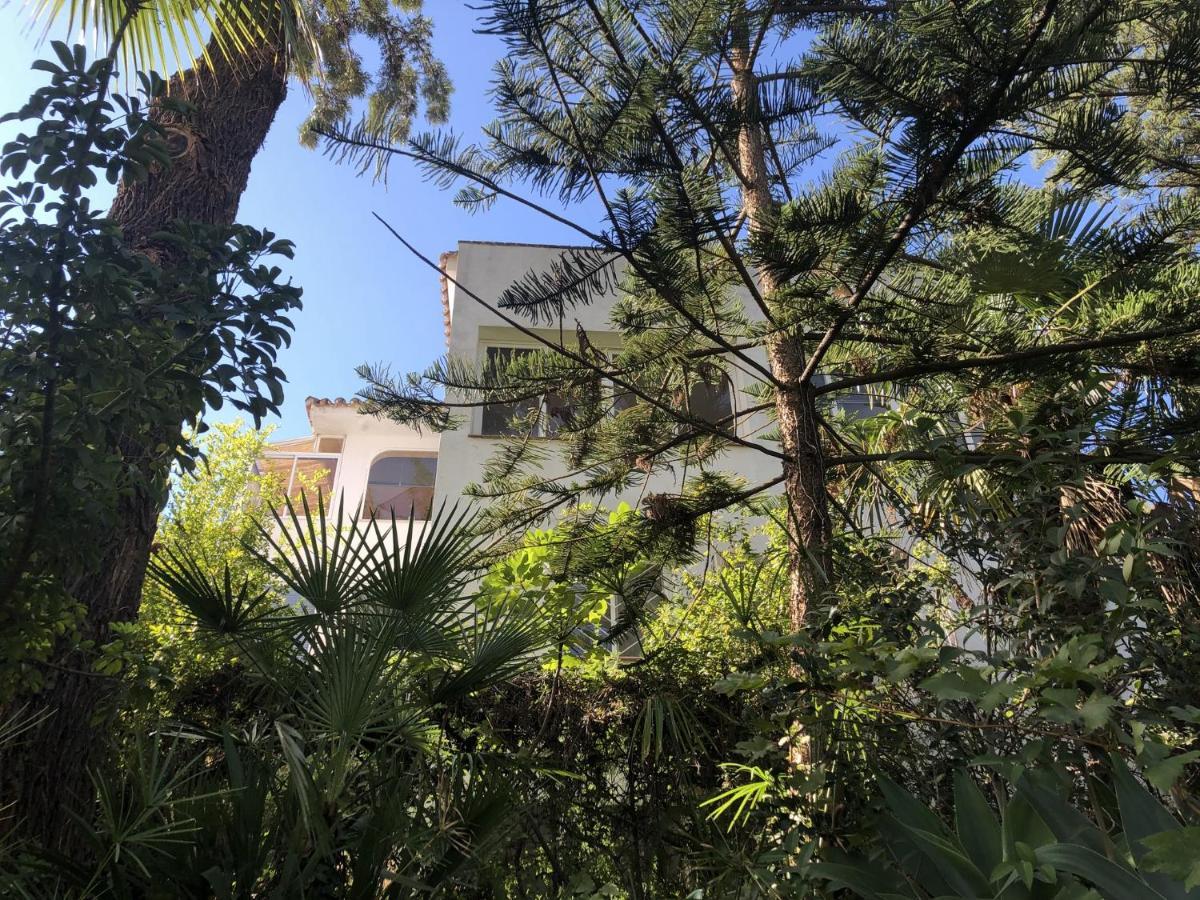 Gasthuis Casa Simba (adults Only) Estepona