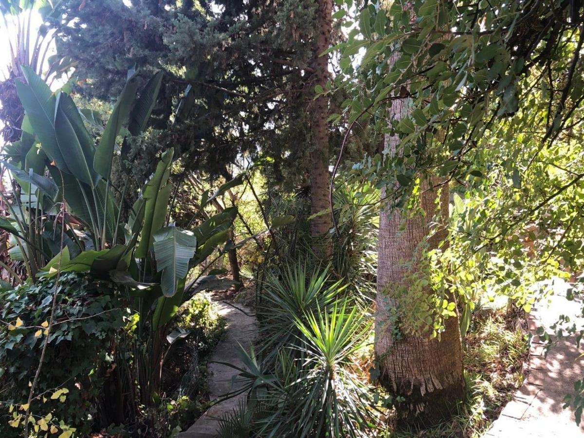 Casa Simba (adults Only) * Estepona