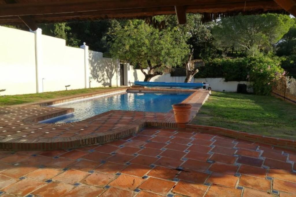 Amazing To Rent At - Near Beaches