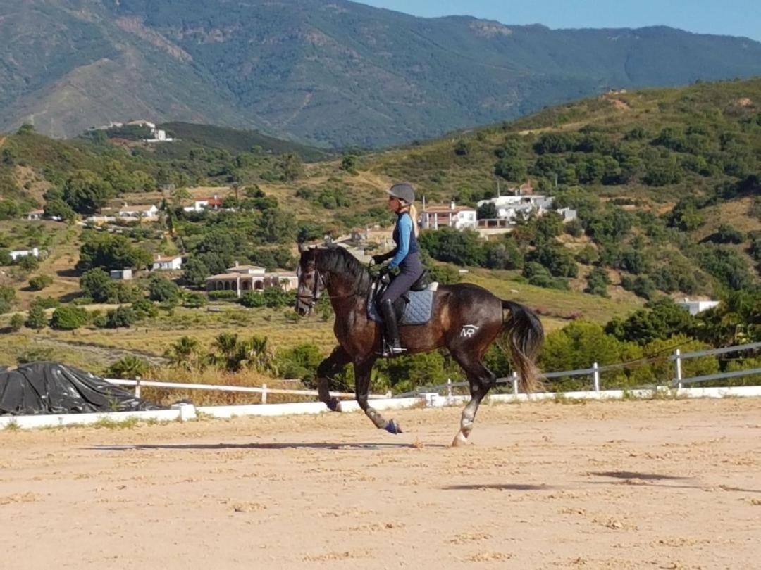 Bed & Breakfast Les Chevaux De Coeur Estepona