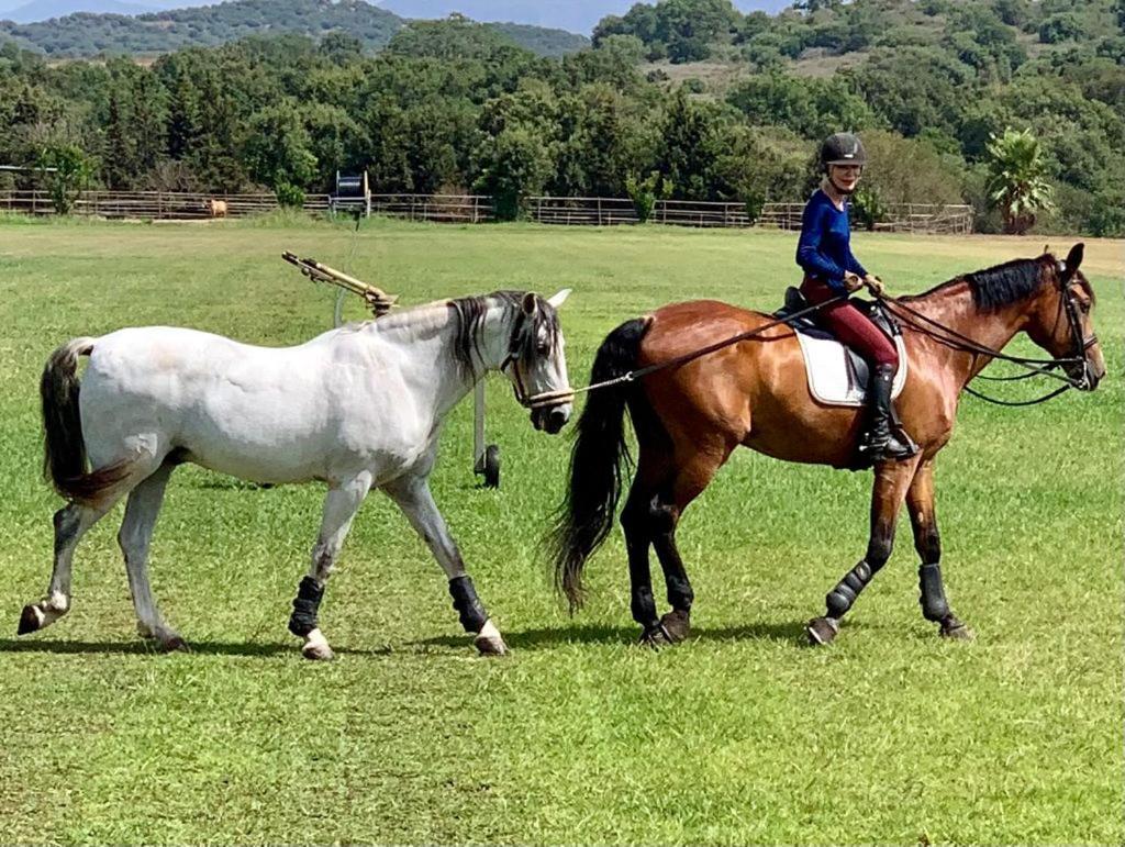 Les Chevaux De Coeur Bed & Breakfast Estepona
