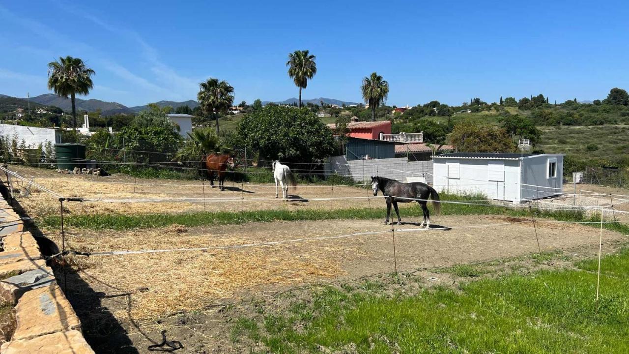 Bed & Breakfast Les Chevaux De Coeur Estepona