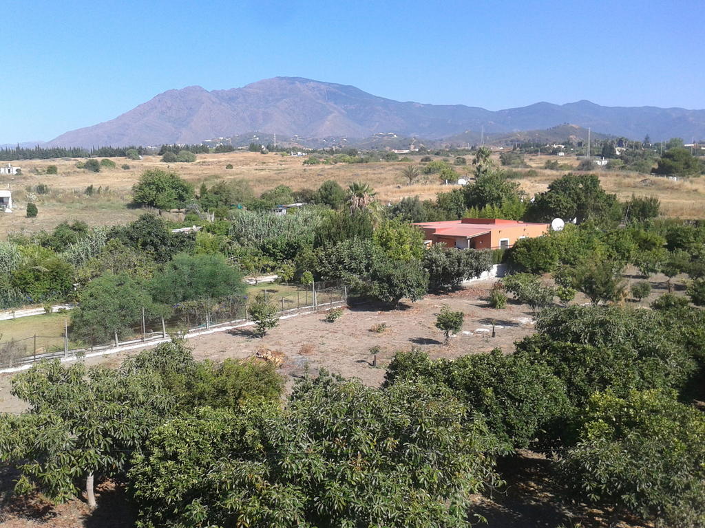 Hostal Europa Estepona