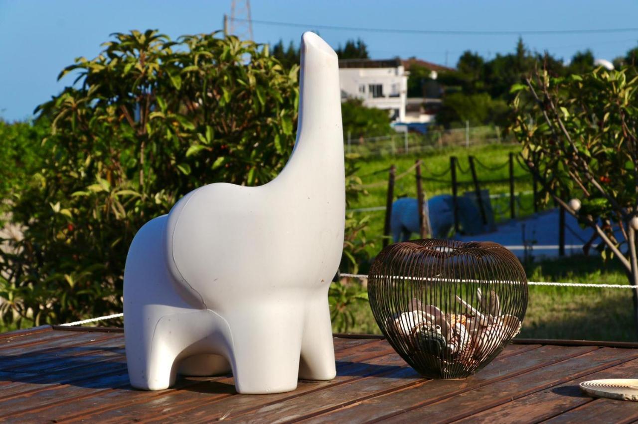 Les Chevaux De Coeur Bed & Breakfast *
