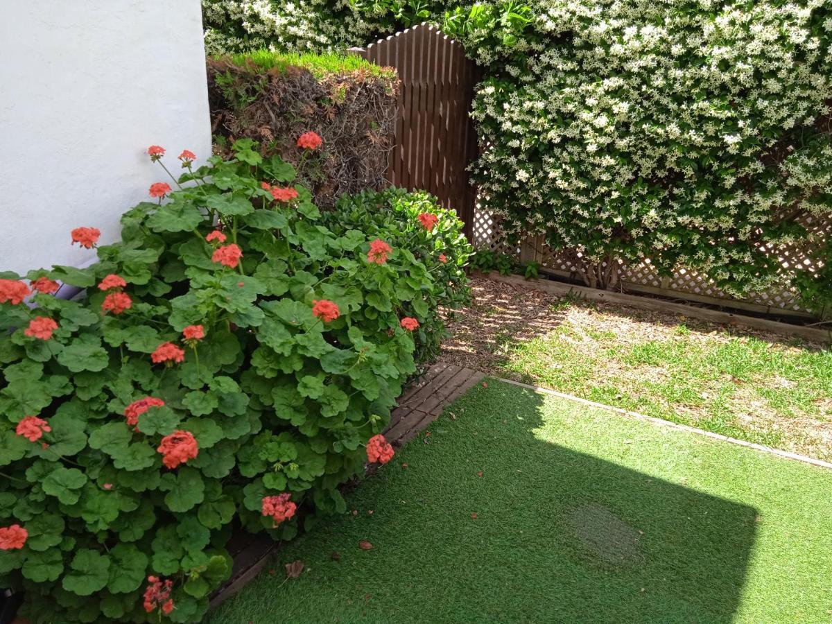 Apartment - Playa - Estudio Al Lado Del Mar Jo18 Estepona