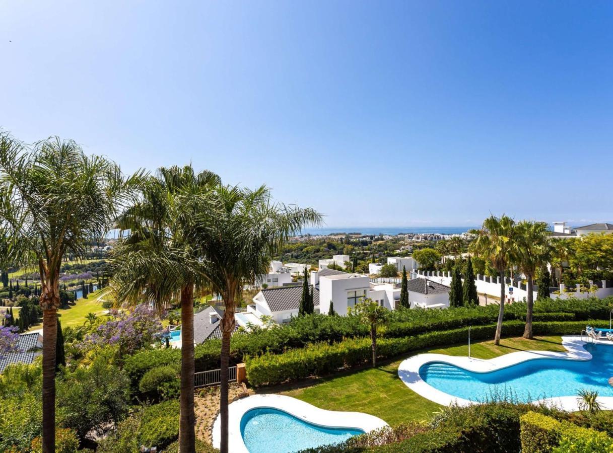 Mediterranean Swing - Royal Flamingos I Estepona