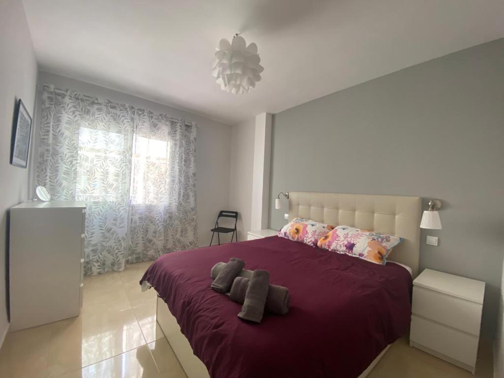 Delfin Estepona