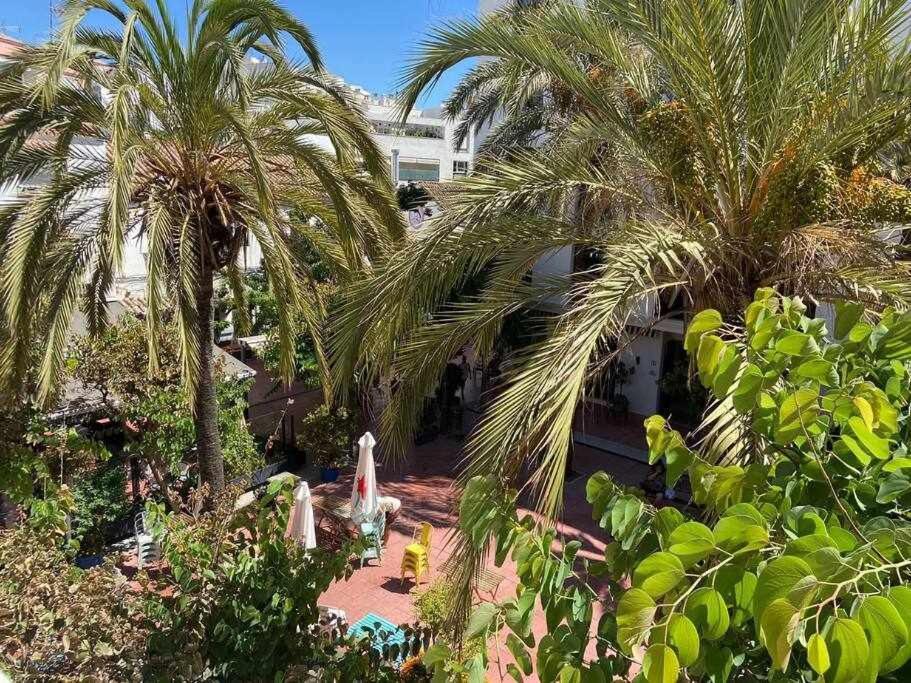 Playamar