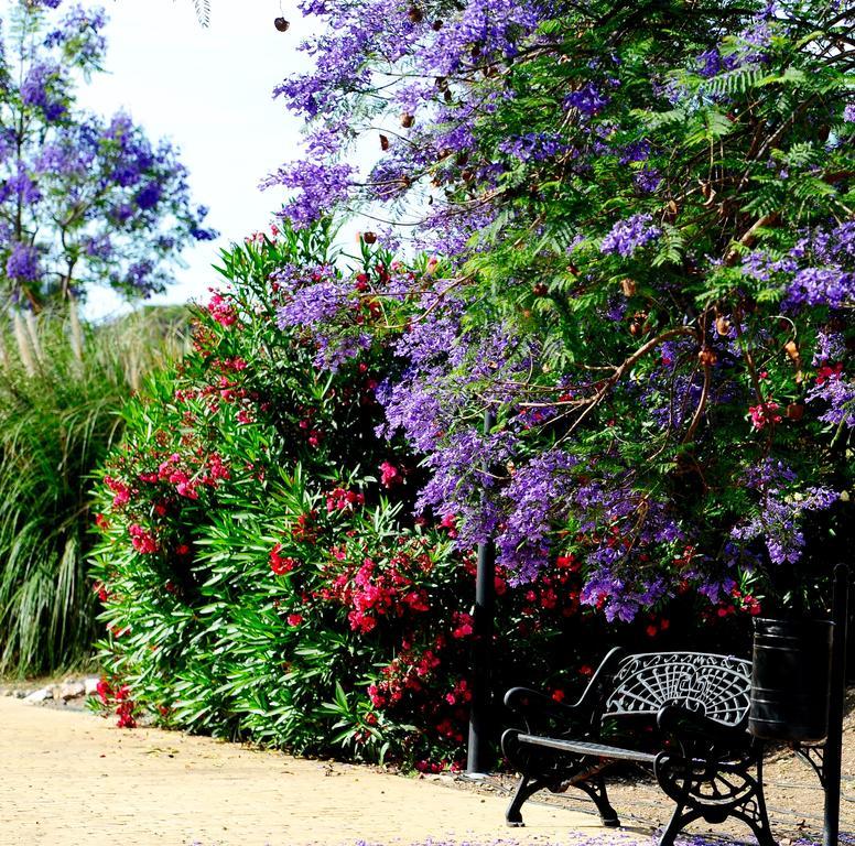 Apartment Apartment Benahavis Estepona