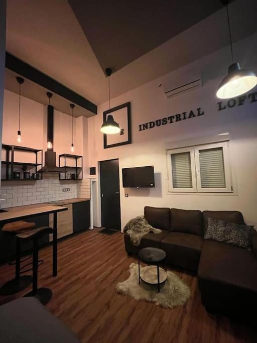Industrial Loft Estudio Apartment Estepona