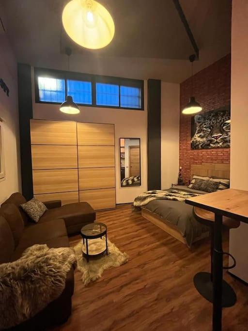 Apartment Industrial Loft Estudio