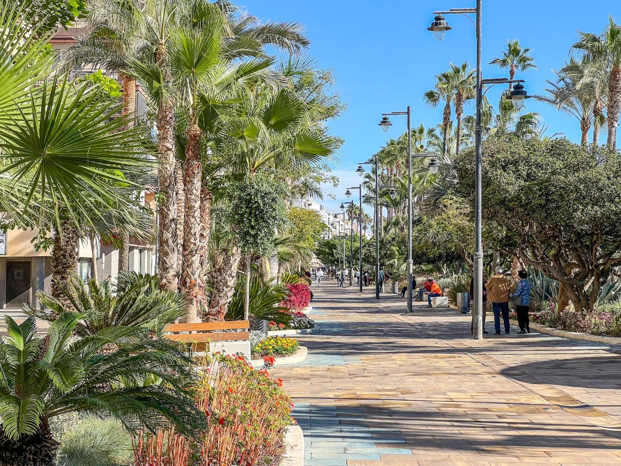 Hanami Avenida De Espana