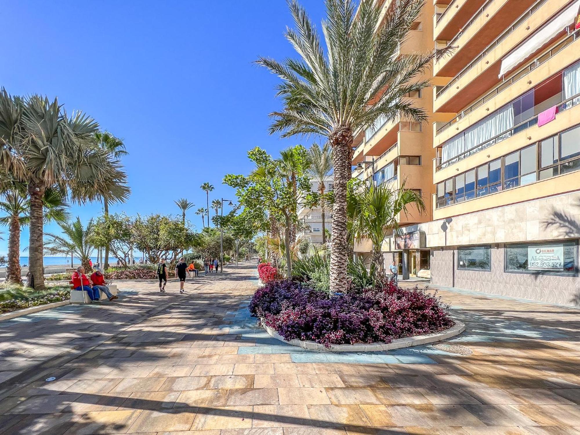 Apartment Hanami Avenida De Espana