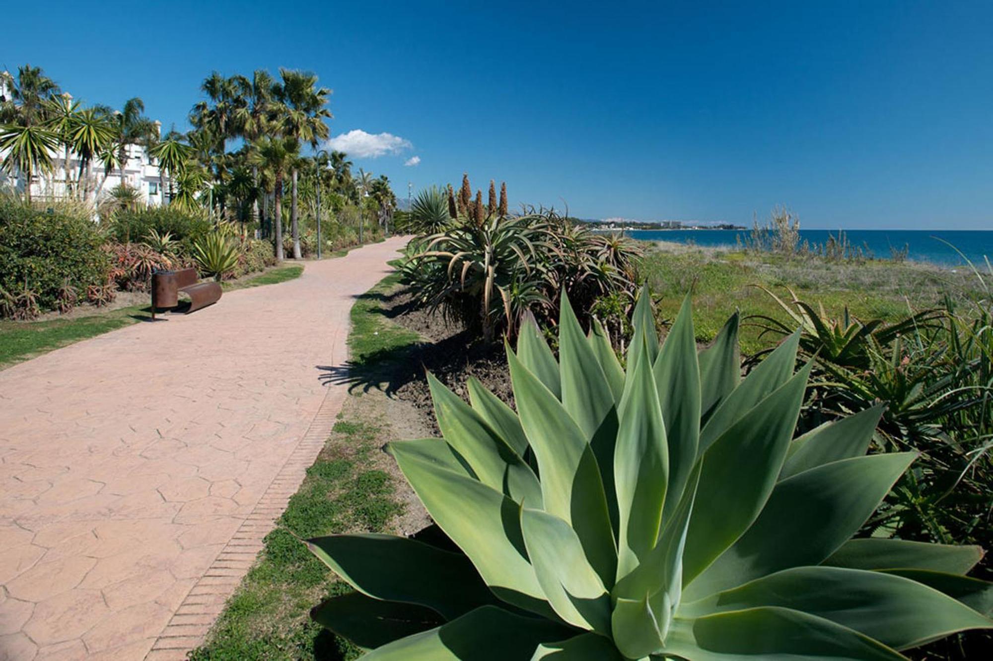 1126 Beachfront High Standard With Terrace Estepona