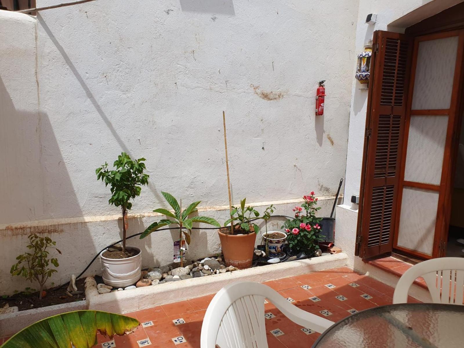 - Playa - 1 Con Terraza Solarium Mi17 *