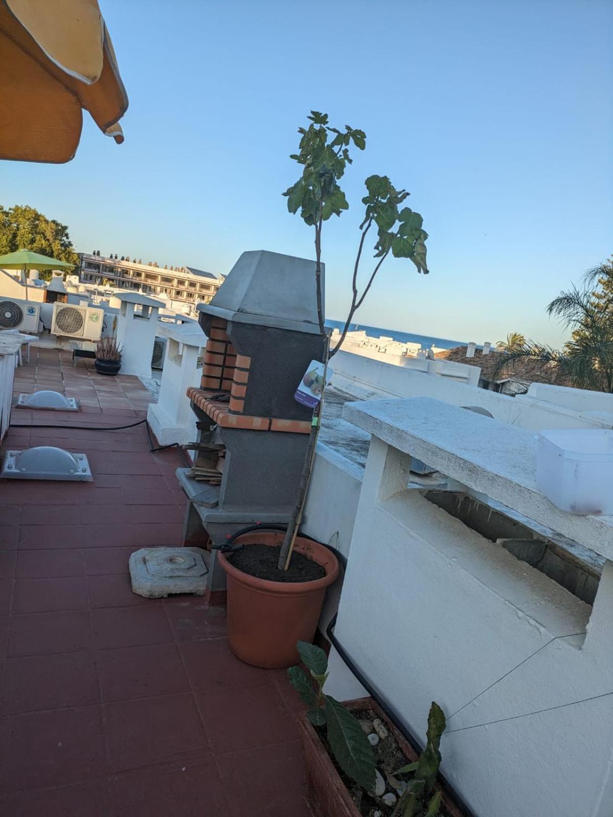 - Playa - 1 Con Terraza Solarium Mi17