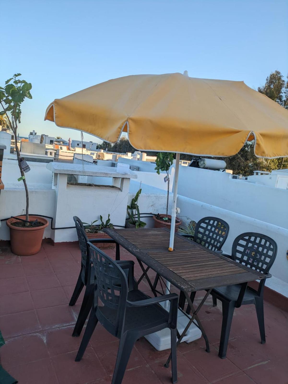 Appartement - Playa - 1 Con Terraza Solarium Mi17 *