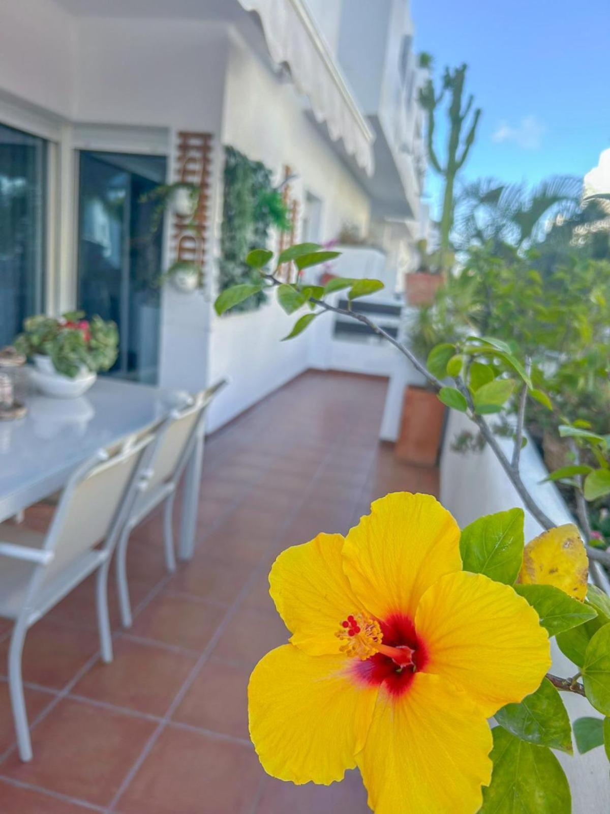 Apartment Golf Valle Estepona