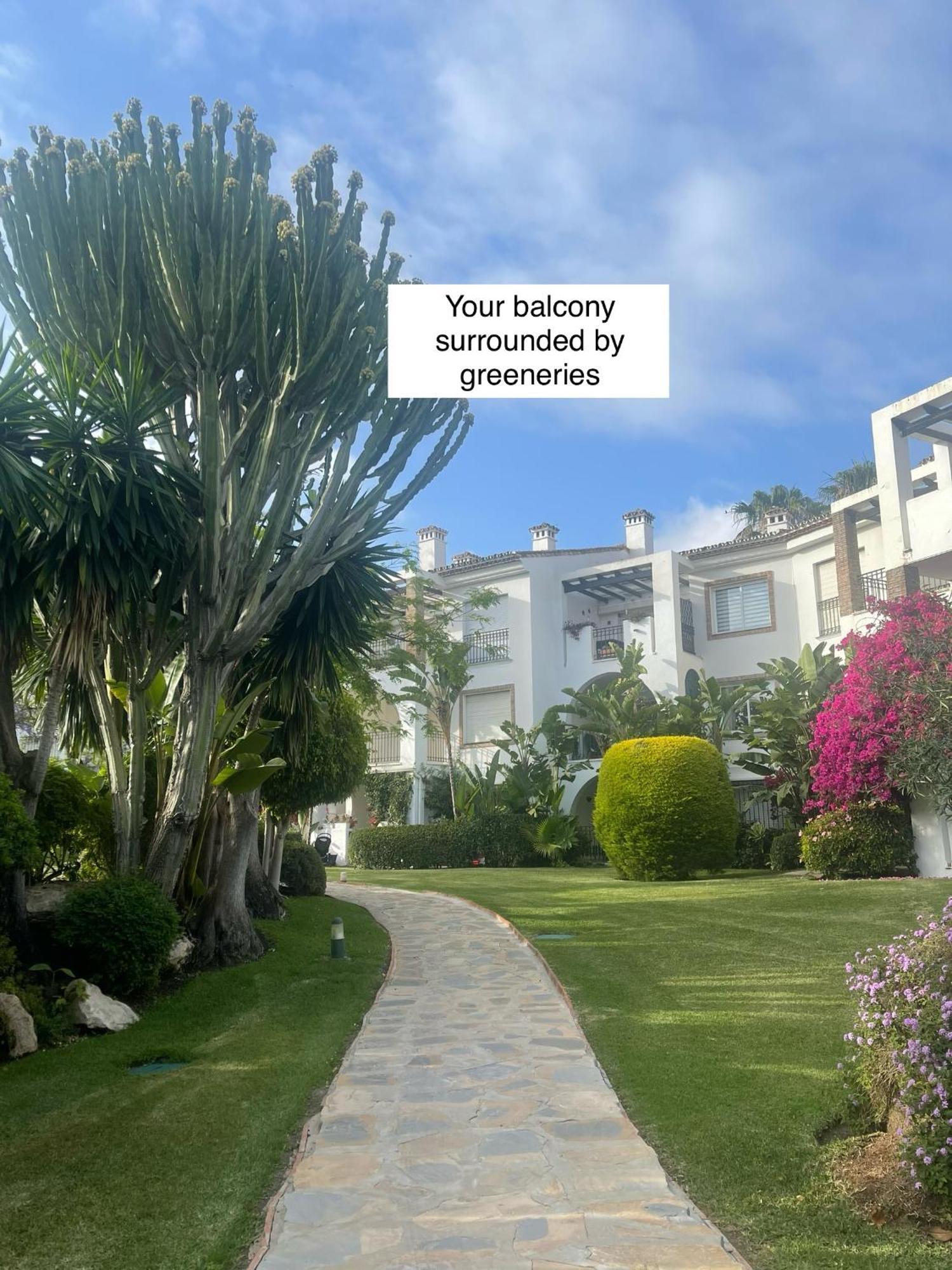 Beachfront Escape Apartment