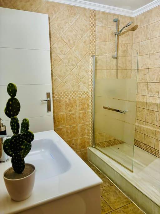 Apartment Spacious With Sea Views D