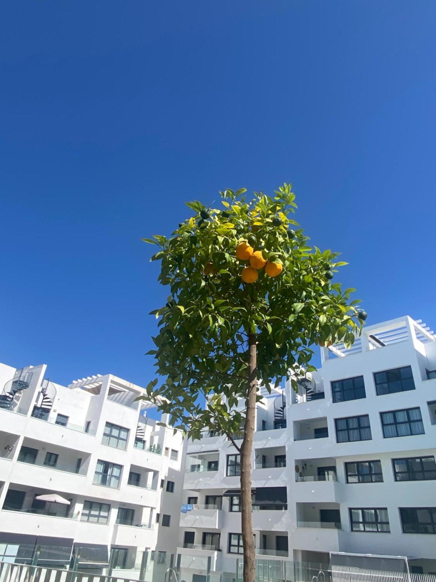 Luxery With Pool In Estepona-centre Estepona