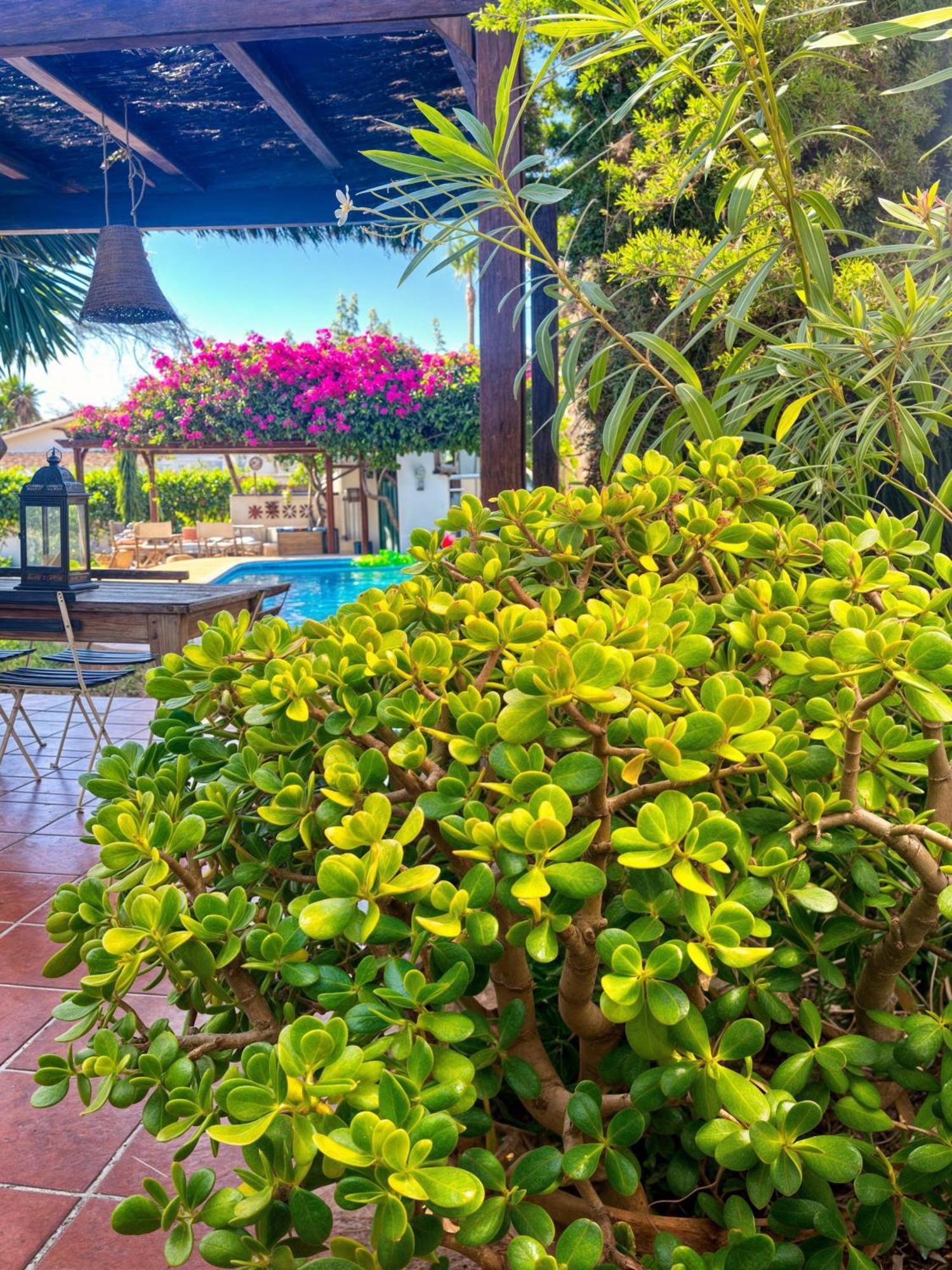 Alfredo - Private Pool Next To The *
