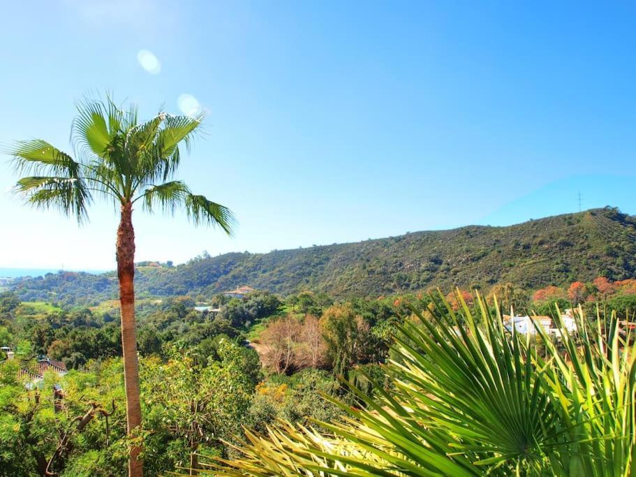 4 Bed Private Pool Bermeja Estepona