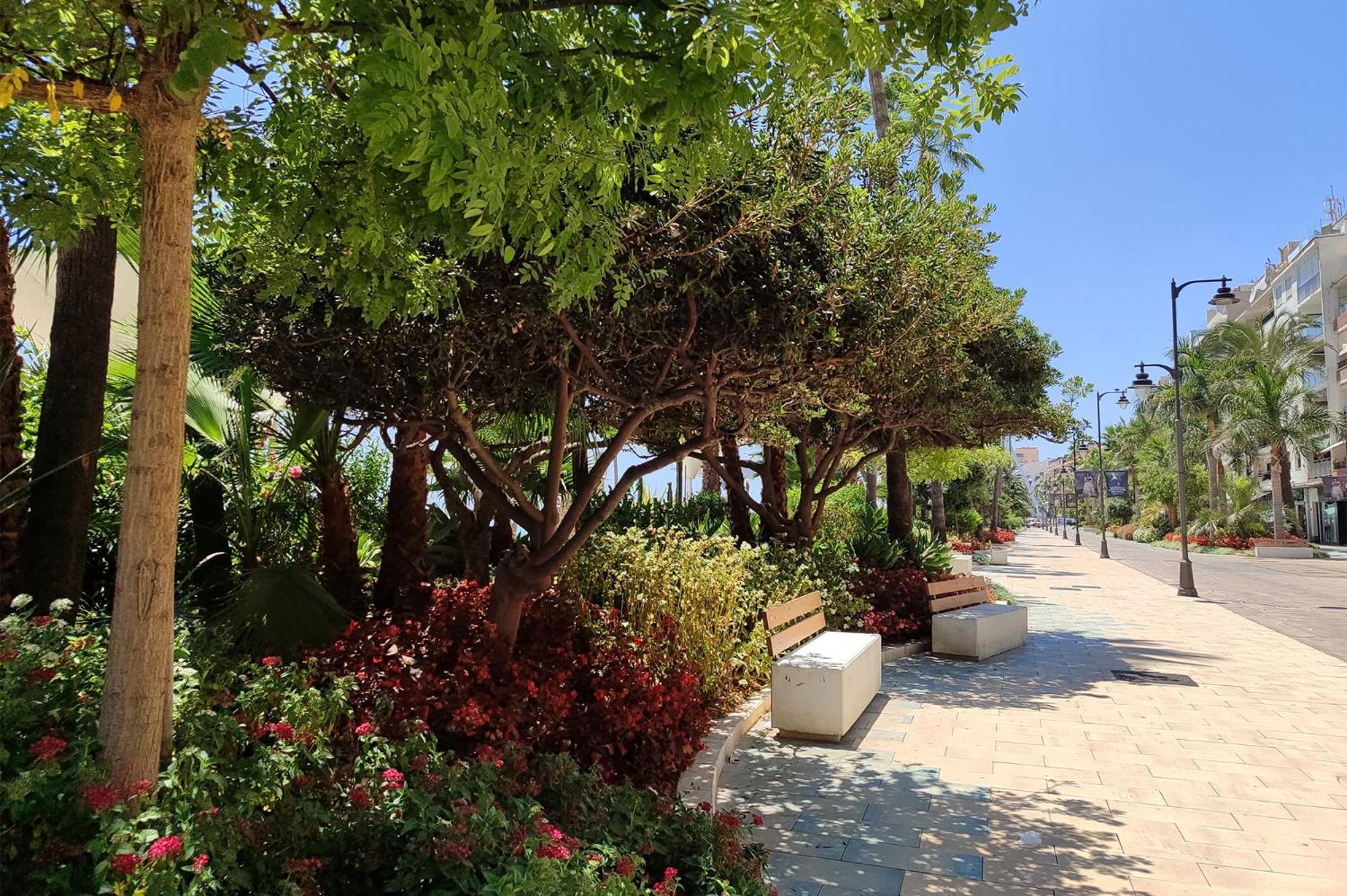 Edificio Jardin * Estepona