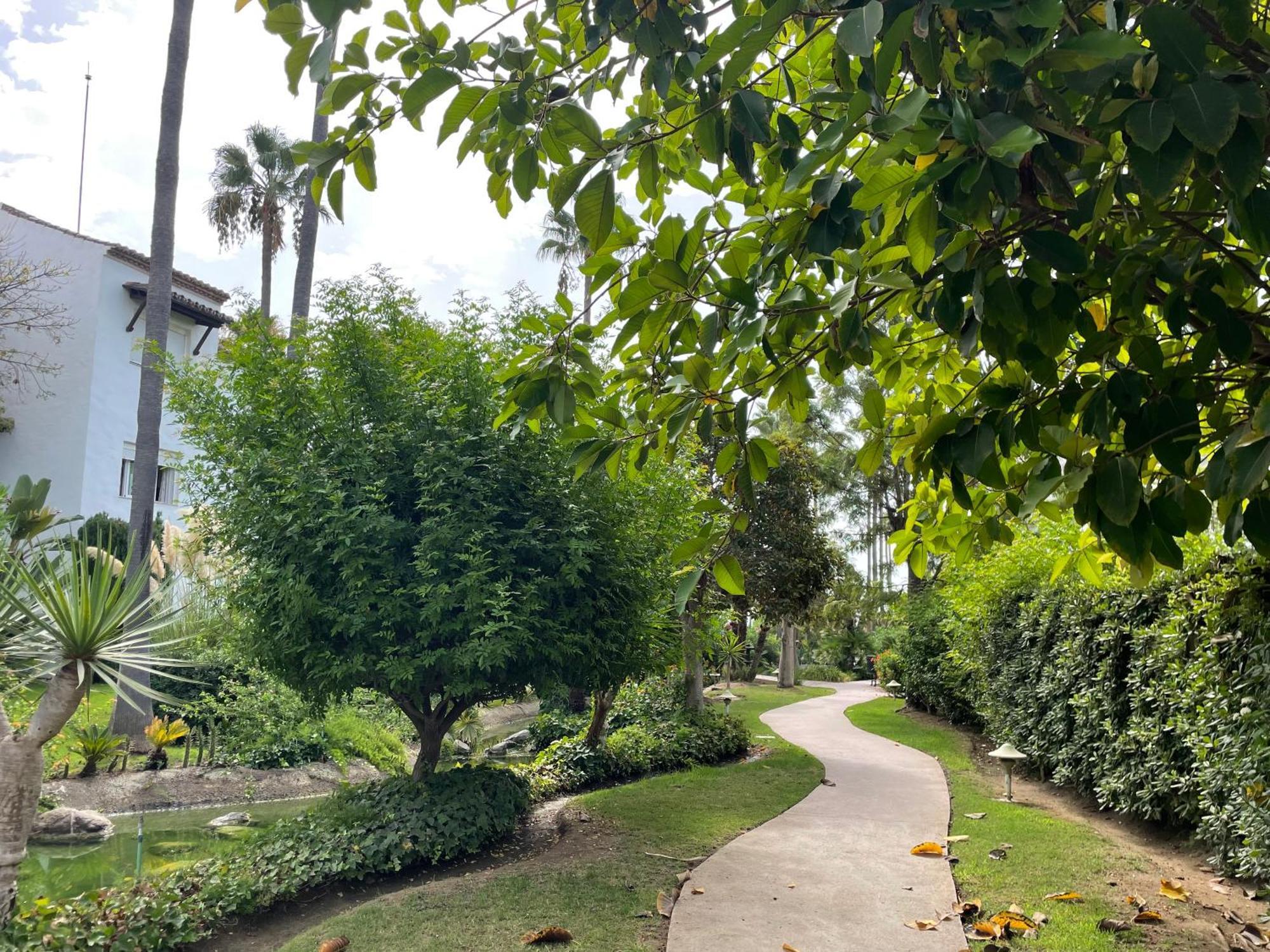 Apartment Costalita, Direct Access, Ground Floor, Salt Water Pool *