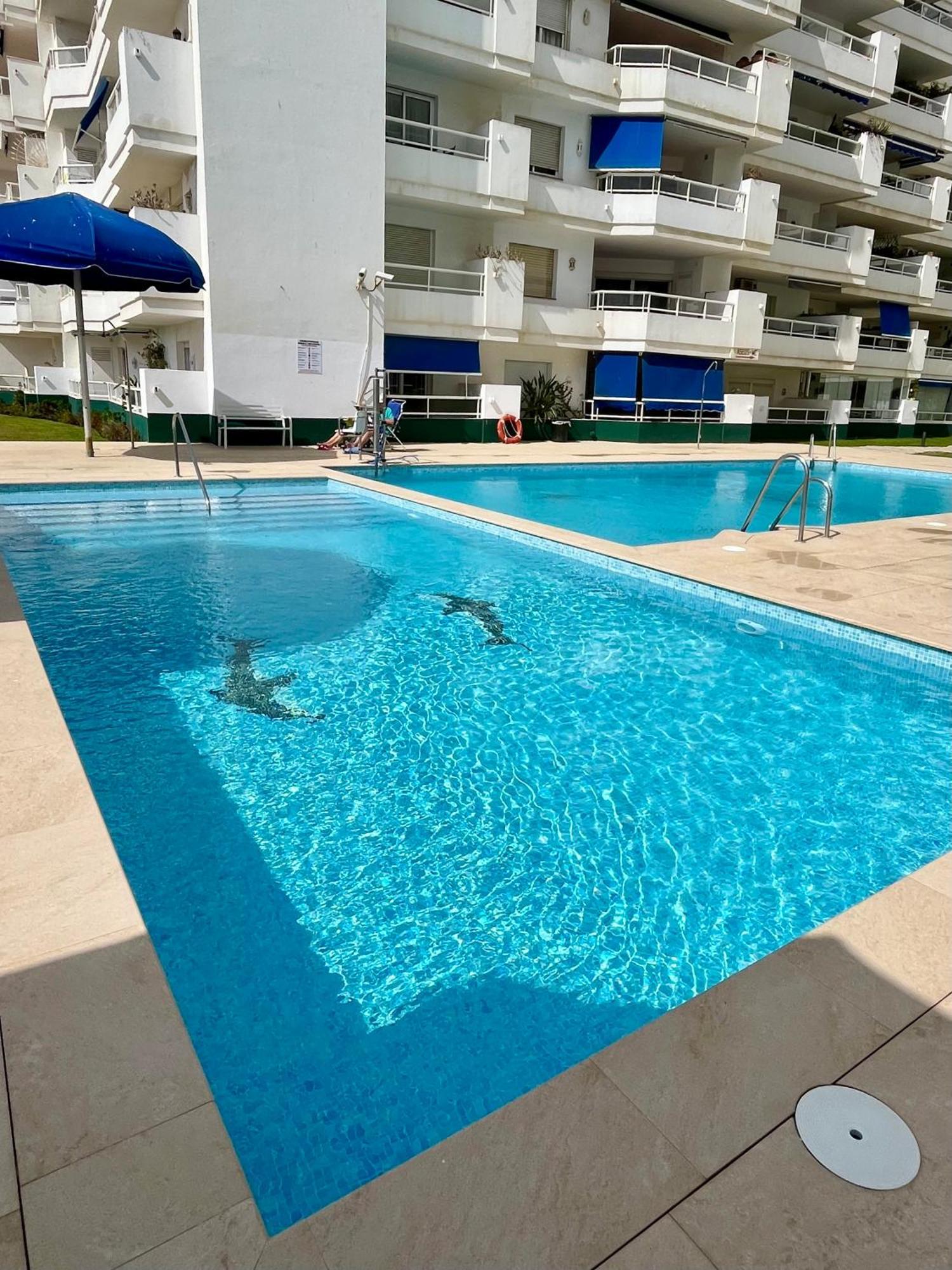 New Flat With Outdoor Pools In Puerto De * Estepona