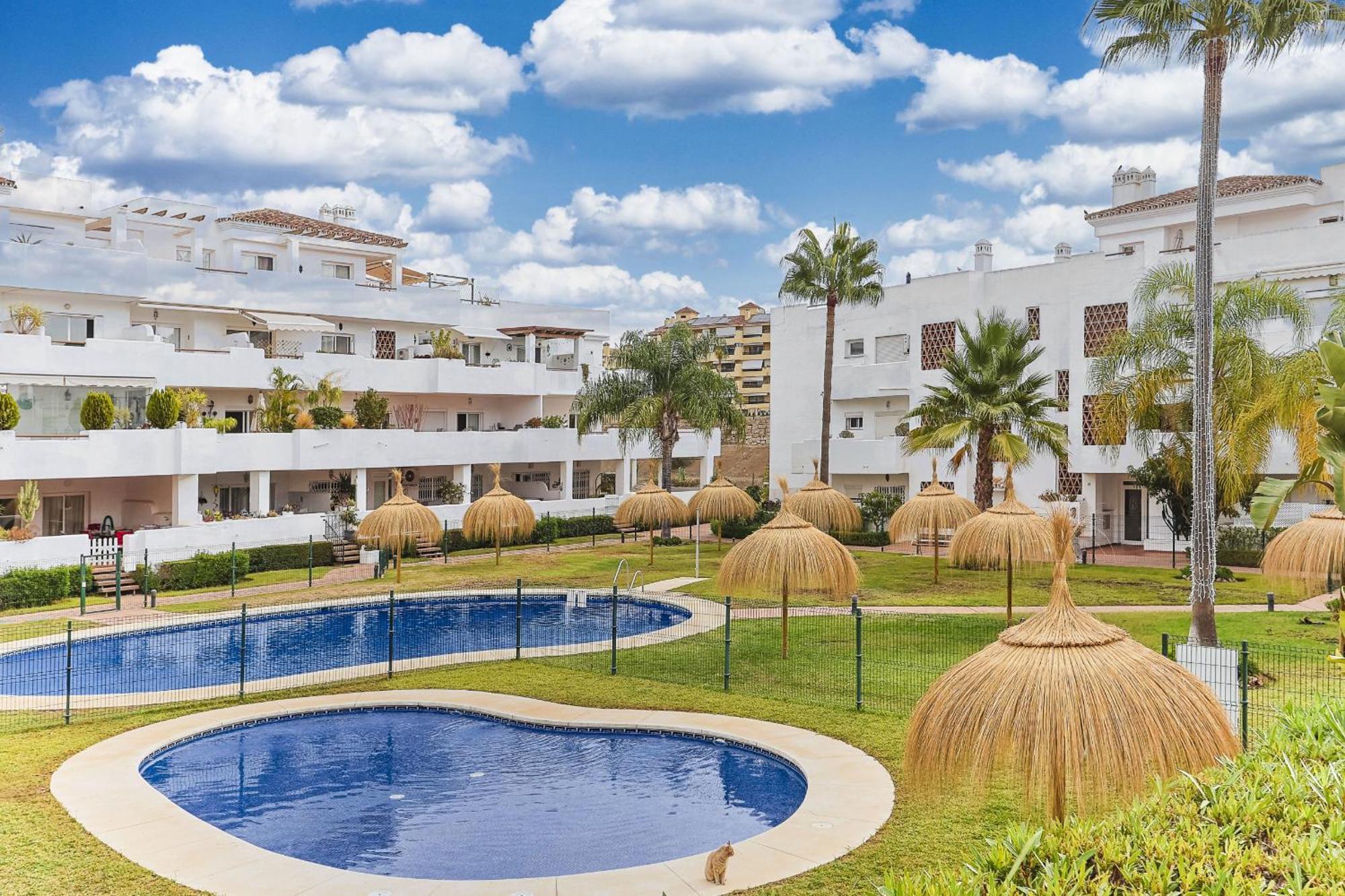 Penthouse Luny *