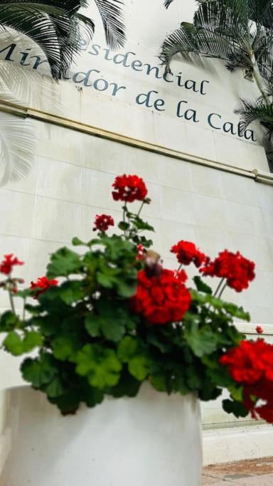 Mirador De La Cala